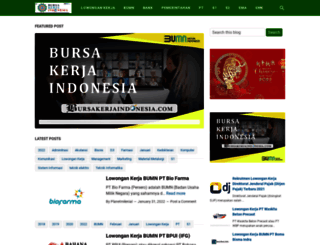 bursakerjaindonesia.com screenshot