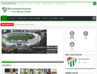 bursasporluyum.com screenshot