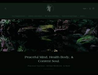 bush-healing.org screenshot