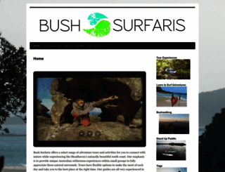 bushsurfaris.com screenshot