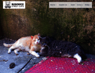 bushwickstreetcats.org screenshot