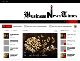 businessnewstimes.com screenshot
