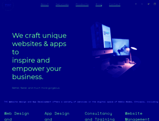 businesstyc.com screenshot