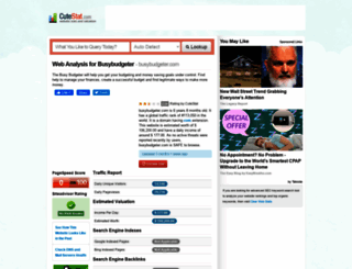 busybudgeter.com.cutestat.com screenshot