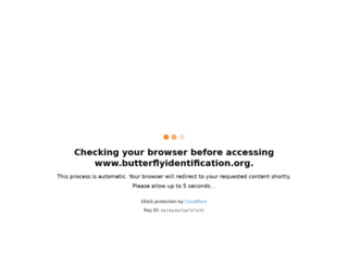 butterflyidentification.org screenshot