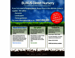 buxusdirectnursery.com screenshot