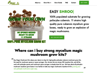 buy-magic-mushroom-kits.com screenshot