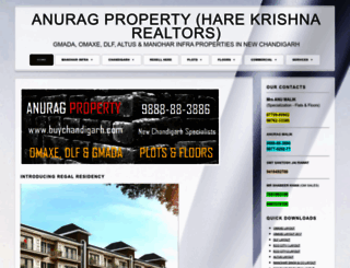 buychandigarh.com screenshot