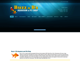 buzznbs.com screenshot