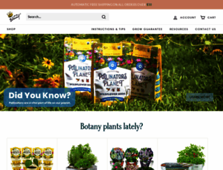 buzzyseeds.com screenshot
