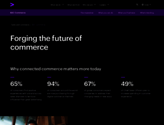 bvaccel.com screenshot