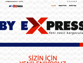 byexpresskargo.com screenshot