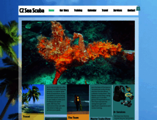 c2seascuba.com screenshot