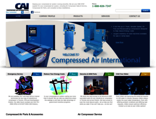 ca-intl.com screenshot