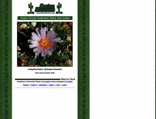 cactusmuseum.com screenshot
