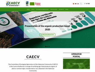 caecv.com screenshot