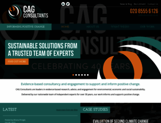 cagconsultants.co.uk screenshot