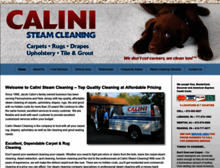 calinisteamcleaning.com screenshot