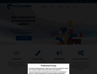 calliduspro.com screenshot