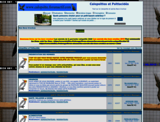 calopsitte.forumactif.com screenshot
