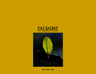 calsalvet.com screenshot