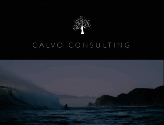 calvoconsulting.com screenshot