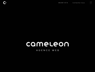 cameleonmedia.com screenshot