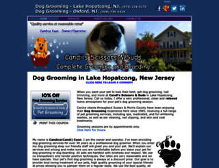candisscissorsandsuds.com screenshot