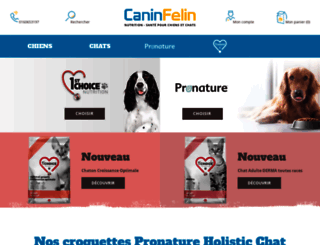 caninsfelins.fr screenshot