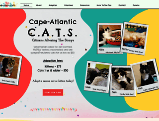 capeatlanticcats.com screenshot