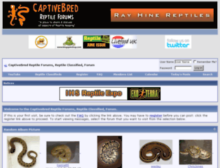 captivebredreptileforums.co.uk screenshot