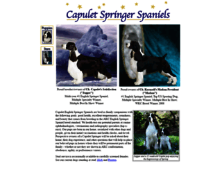 capuletspringers.com screenshot