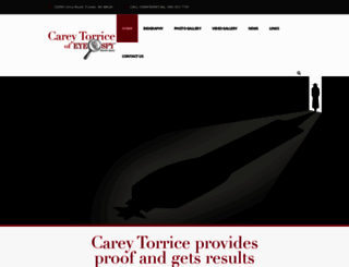 careytorrice.com screenshot