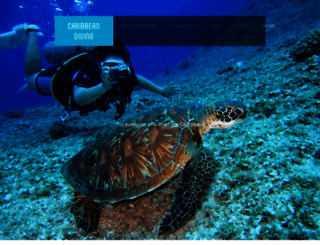 caribbean-diving.com screenshot