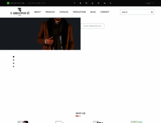 carlopotti.com screenshot