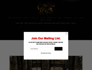 carrabbahaus.com screenshot