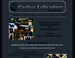 casbarlabs.com screenshot