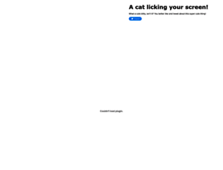 catfront.com screenshot