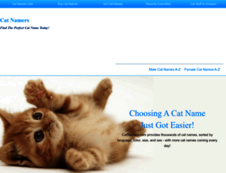 catnamers.com screenshot
