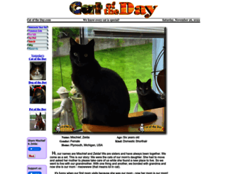 catoftheday.com screenshot