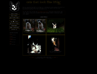 catsthatlooklikehitler.com screenshot