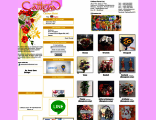 cattleya.com screenshot