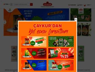caykursatis.com screenshot