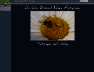 cbrochard.com screenshot