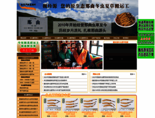 cccdzxw.com screenshot