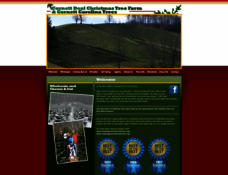 cdtreefarm.com screenshot