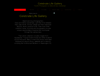 celebratelifegallery.com screenshot