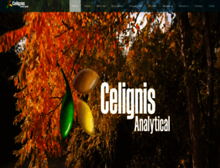 celignis.com screenshot