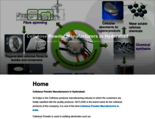 cellulosepowdermanufacturersinhyderabad.wordpress.com screenshot