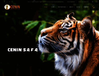 ceninsafaris.com screenshot